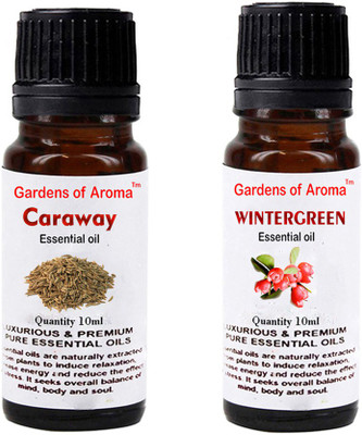

Gardens Of Aroma Caraway Essential Oil And Wintergreen Essential Oil(20 ml)