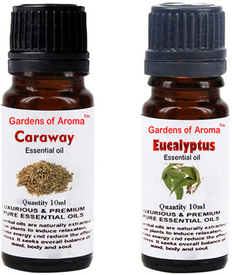

Gardens Of Aroma Caraway Essential Oil And Eucalyptus Essential Oil(20 ml)
