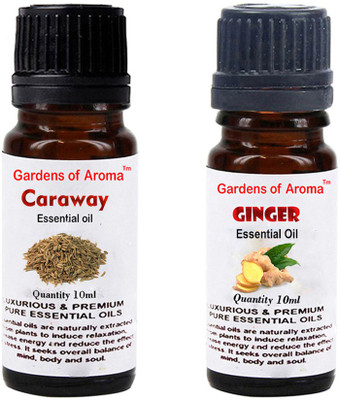 

Gardens Of Aroma Caraway Essential Oil And Ginger Essential Oil(20 ml)