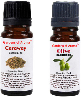 Gardens Of Aroma Caraway Essential Oil And Olive Carrier Oil(20 ml)