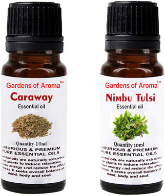 

Gardens Of Aroma Caraway Essential Oil And Nimbutulsi Essential Oil(20 ml)