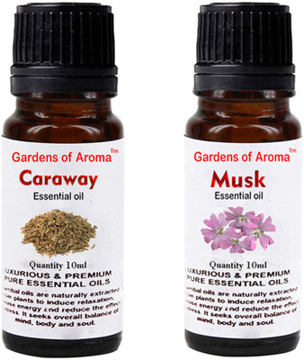 

Gardens Of Aroma Caraway Essential Oil And Musk Essential Oil(20 ml)
