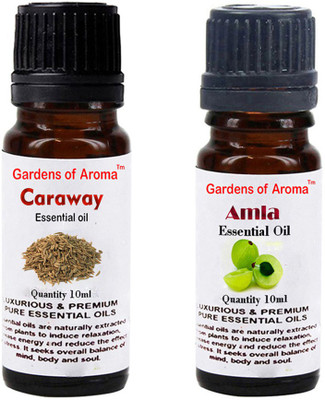 

Gardens Of Aroma Caraway Essential Oil And Amla Essential Oil(20 ml)