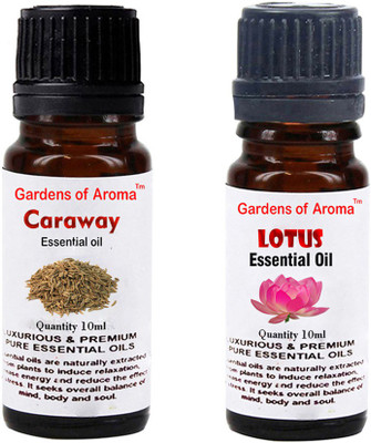 

Gardens Of Aroma Caraway Essential Oil And Lotus Essential Oil(20 ml)