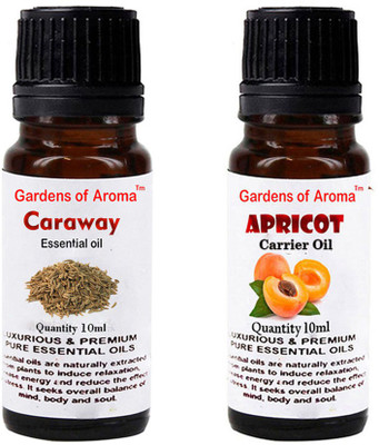 

Gardens Of Aroma Caraway Essential Oil And Apricot Carrier Oil(20 ml)