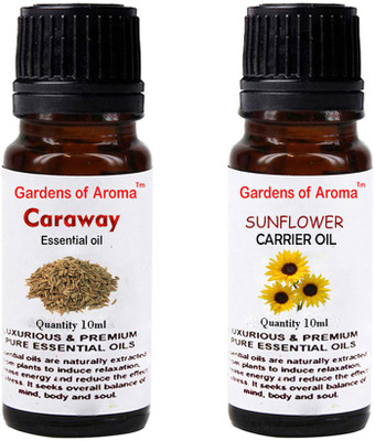 

Gardens Of Aroma Caraway Essential Oil And Sunflower Carrier Oil(20 ml)