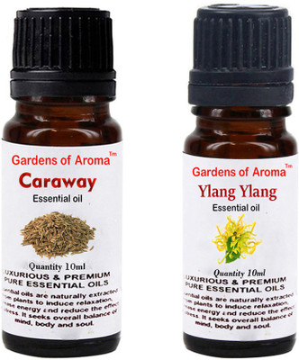 

Gardens Of Aroma Caraway Essential Oil And Ylang Ylang Essential Oil(20 ml)