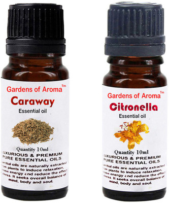 

Gardens Of Aroma Caraway Essential Oil And Citronella Essential Oil(20 ml)