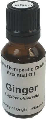 

Manipura Ayurveda Ginger(15 ml)