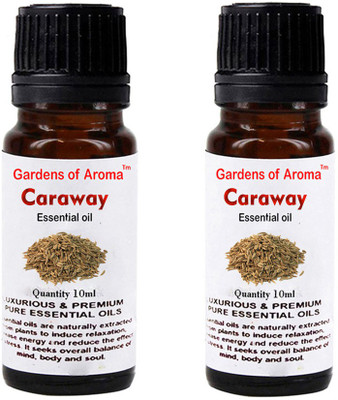 

Gardens Of Aroma Caraway Essential Oil And Caraway Essential Oil(20 ml)