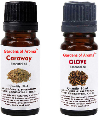 

Gardens Of Aroma Caraway Essential Oil And Clove Essential Oil(20 ml)