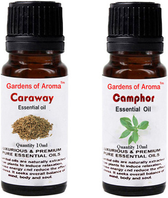Gardens Of Aroma Caraway Essential Oil And Camphor Essential Oil(20 ml)