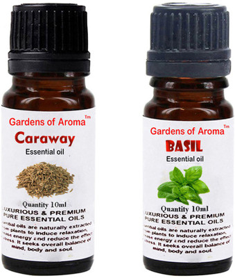 

Gardens Of Aroma Caraway Essential Oil And Basil Essential Oil(20 ml)
