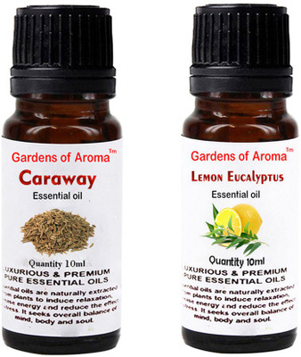 

Gardens Of Aroma Caraway Essential Oil And Lemon eucalyptus Essential Oil(20 ml)