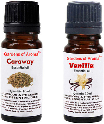 

Gardens Of Aroma Caraway Essential Oil And Vanilla Essential Oil(20 ml)