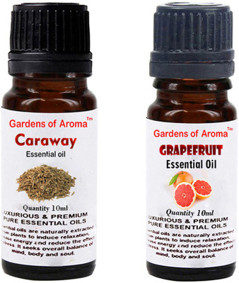 

Gardens Of Aroma Caraway Essential Oil And Grapefruit Essential(20 ml)