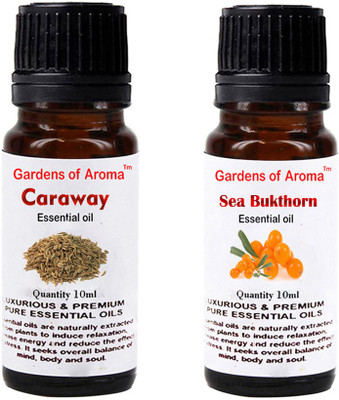 

Gardens Of Aroma Caraway Essential Oil And Seabukthorn Essential Oil(20 ml)
