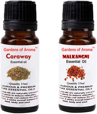

Gardens Of Aroma Caraway Essential Oil And Malkangani Essential Oil(20 ml)