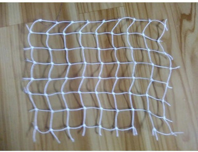 

NET WORLD safety net Cricket Net(Blue)