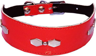 

Petshop7 0.5inch High Quality & Stylish Studs Dog Collar for Puppies- Xtra Small (Neck Size - 12-14inch) Dog Everyday Collar(, Red