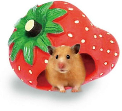 

Sage Square Strawberry Hide House cum Hammock for Hamster / Dwarf / Mice / Gerbil / Chinchilla / Hedgehog Hamster, Chipmunk, Squirrel, Hedgehog, Mouse House