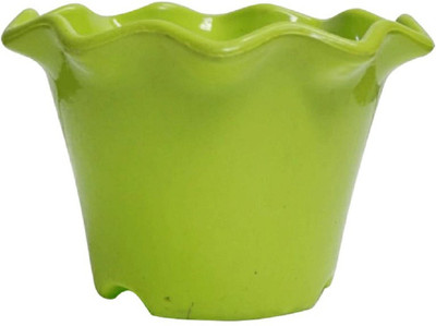 

Nibbo Plant Container Set(Plastic)
