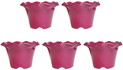 

NIBBO Plant Container Set(Plastic)