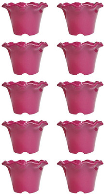 

NIBBO Plant Container Set(Plastic)