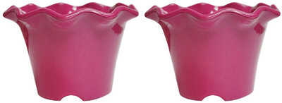 NIBBO Plant Container Set(Plastic)