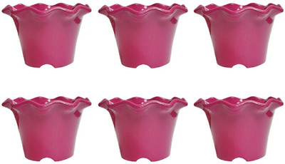 NIBBO Plant Container Set(Plastic)
