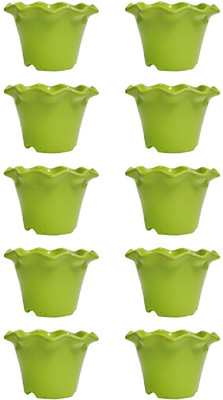 

Nibbo Plant Container Set(Plastic)