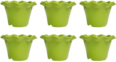 

Nibbo Plant Container Set(Plastic)