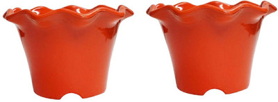 

NIBBO Plant Container Set(Plastic)