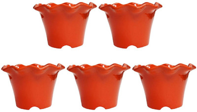 

NIBBO Plant Container Set(Plastic)