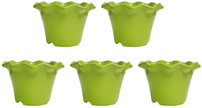 

Nibbo Plant Container Set(Plastic)
