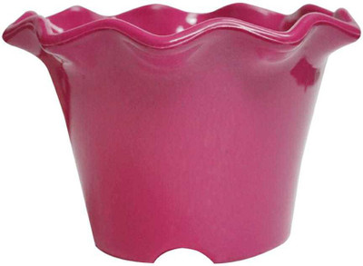 

NIBBO Plant Container Set(Plastic)