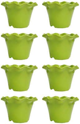 

Nibbo Plant Container Set(Plastic)