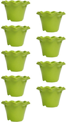 

Nibbo Plant Container Set(Plastic)