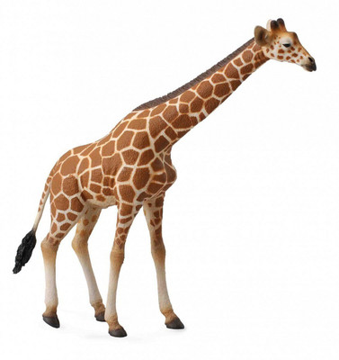 

Collecta Wildlife Reticulated Giraffe Toy Figure(Brown)