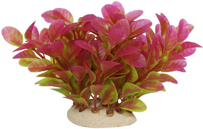 

Foodie Puppies Laterite Planted Substrate(Multicolor)