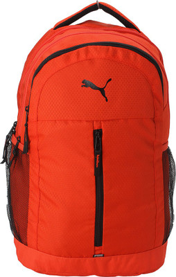 Puma 7554702 21 L Laptop Backpack(Orange), Grey/blue