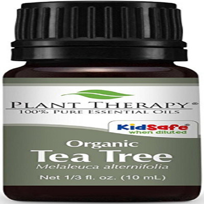 

Plant Therapy Essential Oil(10 ml)