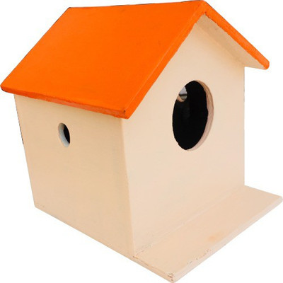 

Nature's Wonder Orange Bird House / Nest Box for Sparrows, Munias, Budgies, Finches & small Birds Bird House(Wall Mounting)