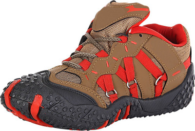 

Azotic Casuals For Men(Multicolor, Brown