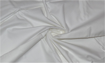 Raymond Pure Cotton Self Design Shirt Fabric
