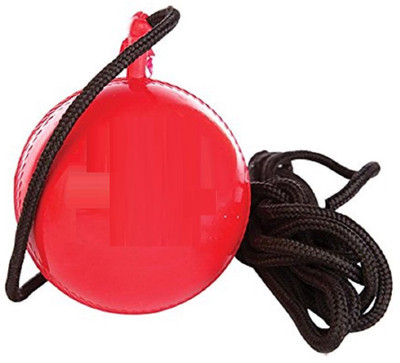 

QUINERGYS ® Leather Cricket Shot Practice Hanging Ball Cricket Bat Mallet Cricket Training Ball(Pack of 1, Red)