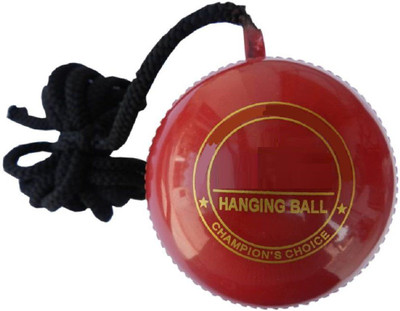 

QUINERGYS ® Gopro Professional Series knocking / hanging cricket ball Cricket Training Ball(Pack of 1, Red), Burgundy