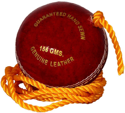 

QUINERGYS ® Cricket Ball- Hanging Ball Cricket Training Ball(Pack of 1, Red), Flame
