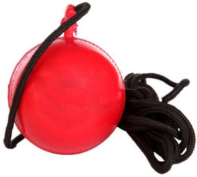 

QUINERGYS ® Hanging GoPro PVC Cricket Ball – Red for Training Cricket Bat Mallet Cricket Training Ball(Pack of 1, Red)