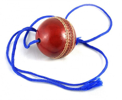

QUINERGYS ® Elite Professional Hanging & Knocking Cricket Ball Cricket Bat Mallet Cricket Training Ball(Pack of 1, Red)